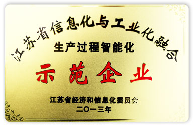 工業(yè)化與信息化融合生產(chǎn)智能化“示范企業(yè)