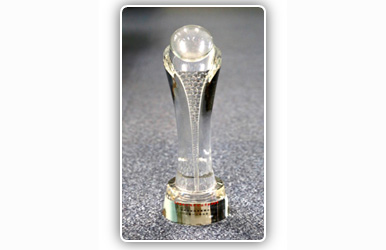 品質(zhì)協(xié)力獎(jiǎng)